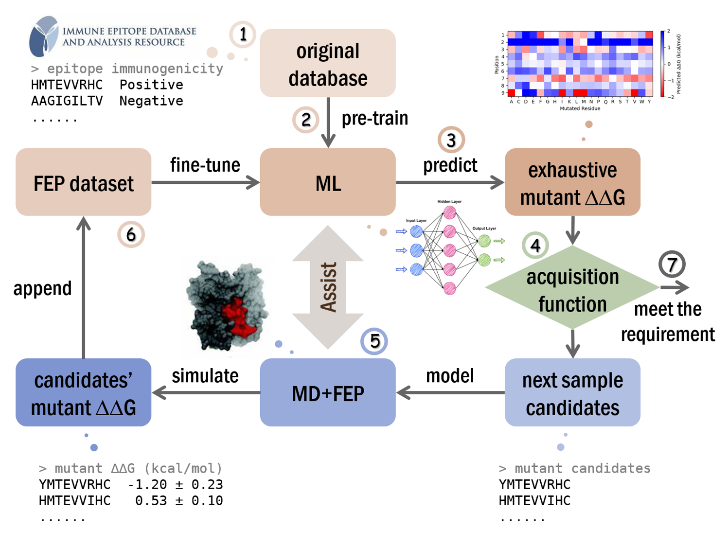 FEPaML: FEP-assisted Machine Learning