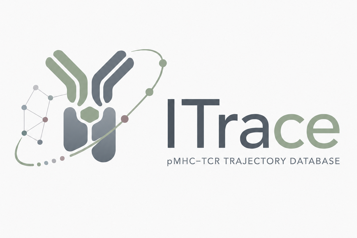 ITrace: MHC I类复合物分子动力学轨迹数据库